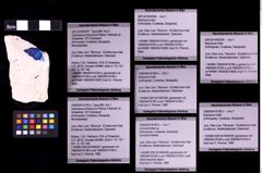 Foto (Objekt + Etiketten) von Brachyura indet. (NHMW-GEO-1990-0041-0180c)